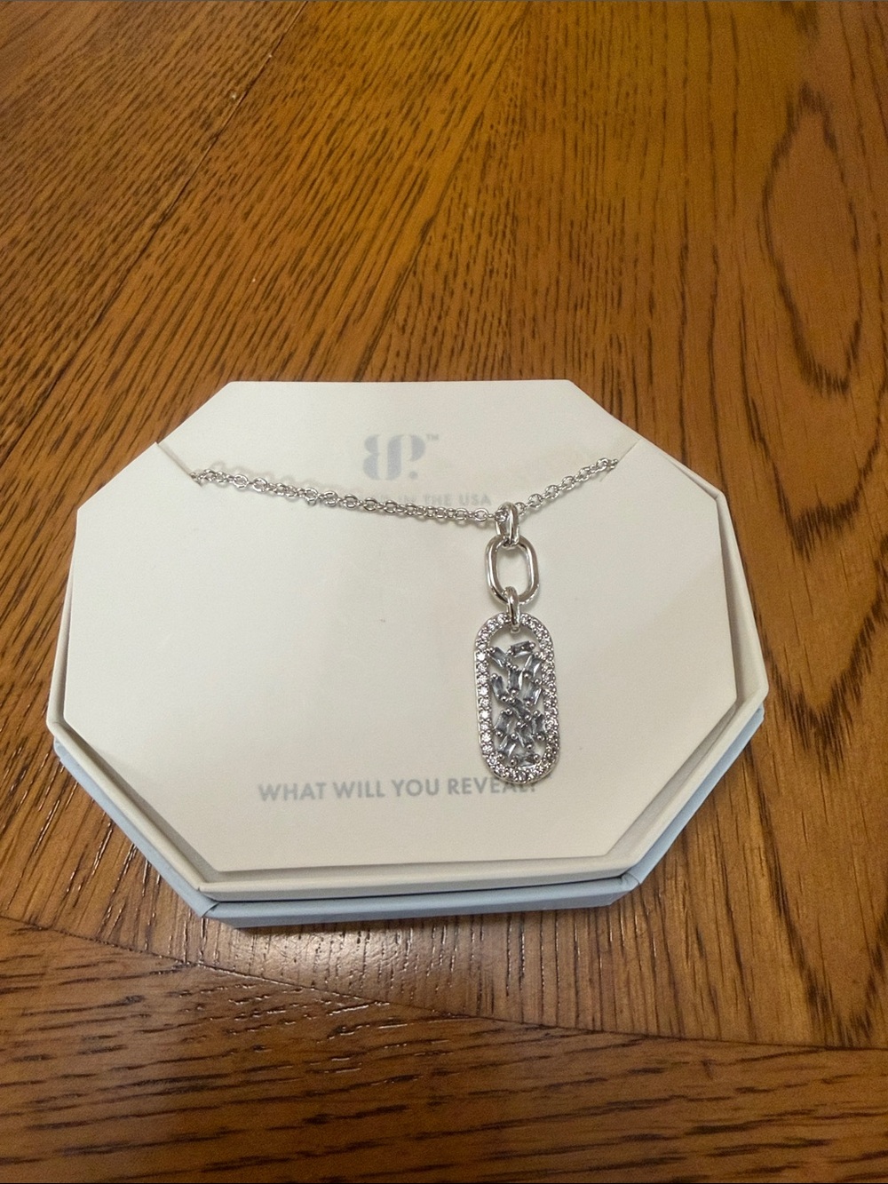 Rhodium-Tone Pavé Pendant Necklace in Silver